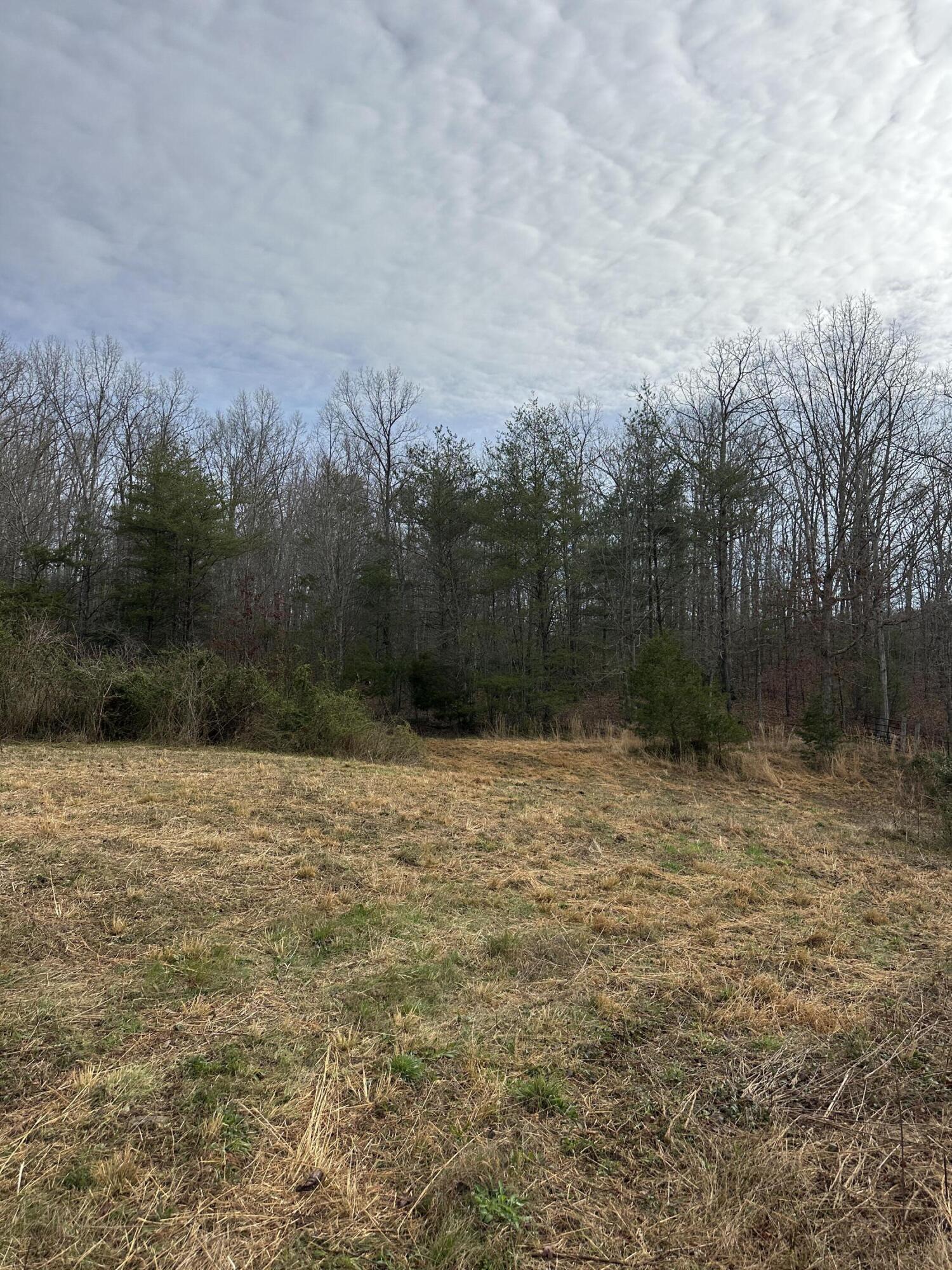 71 Herrington Road Spring City, TN 37381 - Photo 6 of 7 187C53AF-8547-4464-8982-4F51370D4D16