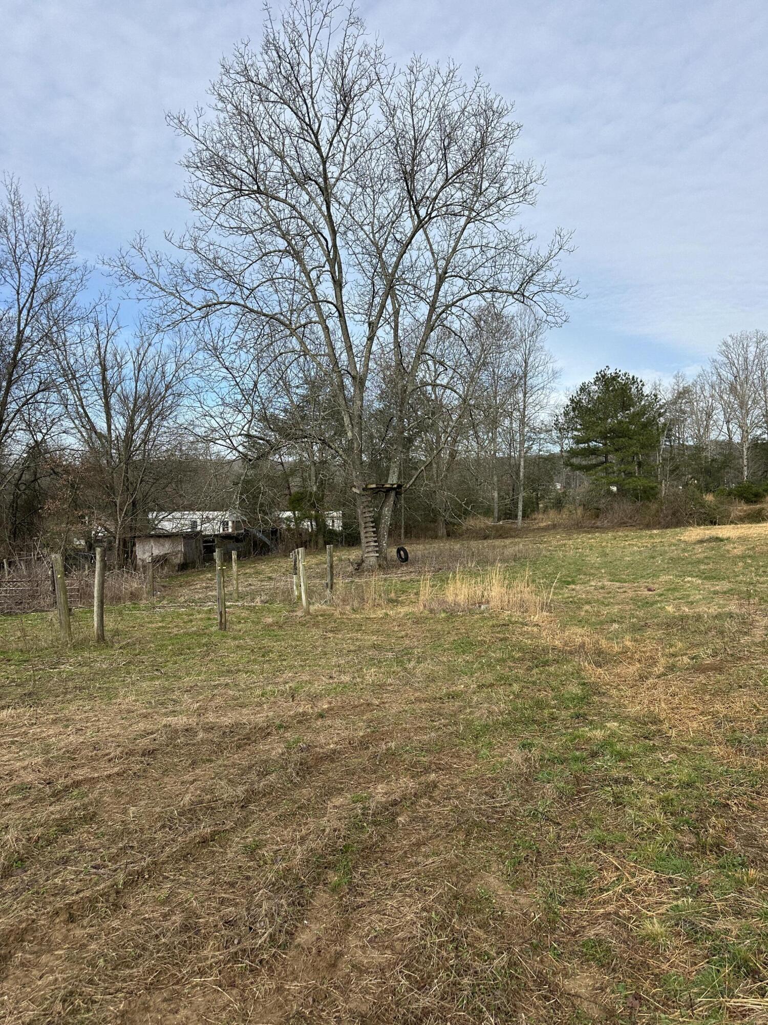 71 Herrington Road Spring City, TN 37381 - Photo 7 of 7 AD11D604-6496-41DE-A474-2568AE1BF020