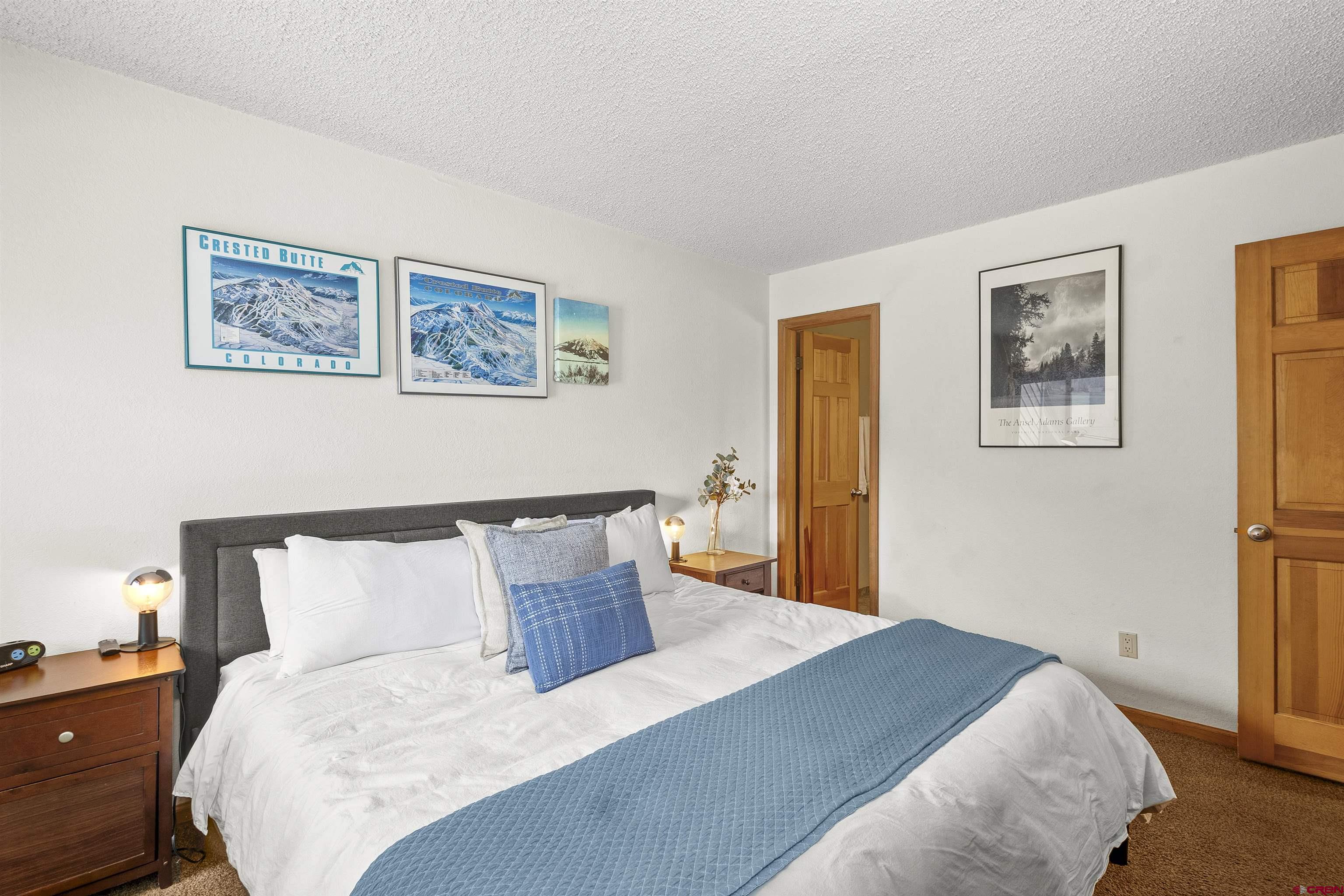 21 Castle Road, Unit 2 Crested Butte, CO 81225 - Photo 21 of 28