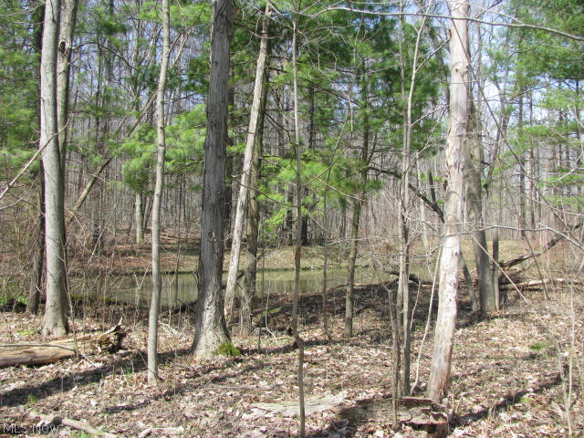 10110 Kile Road Chardon, OH 44024 - Photo 23 of 24