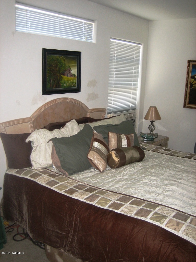 60390 Alpine Way Tucson, AZ 85739 - Photo 32 of 37