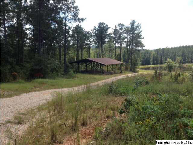 Selma Road, Unit 34ACRES Centreville, AL 35042 - Photo 11 of 15 Gallery Image 11