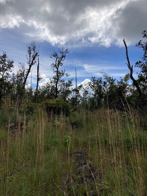 24 Ohialani Road Pahoa, HI 96778 - Photo 1 of 6