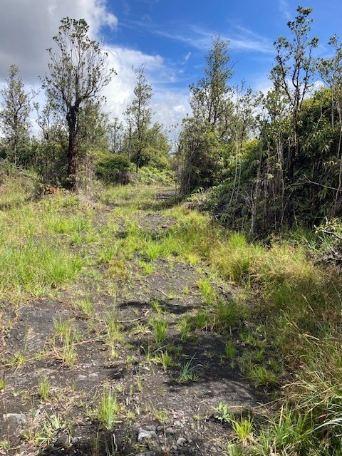 24 Ohialani Road Pahoa, HI 96778 - Photo 2 of 6 a view of a yard with large trees