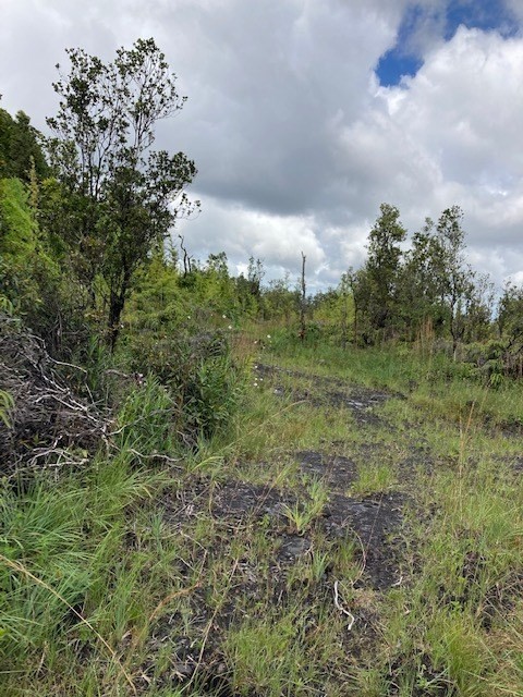 24 Ohialani Road Pahoa, HI 96778 - Photo 5 of 6 a view of a big yard with large trees
