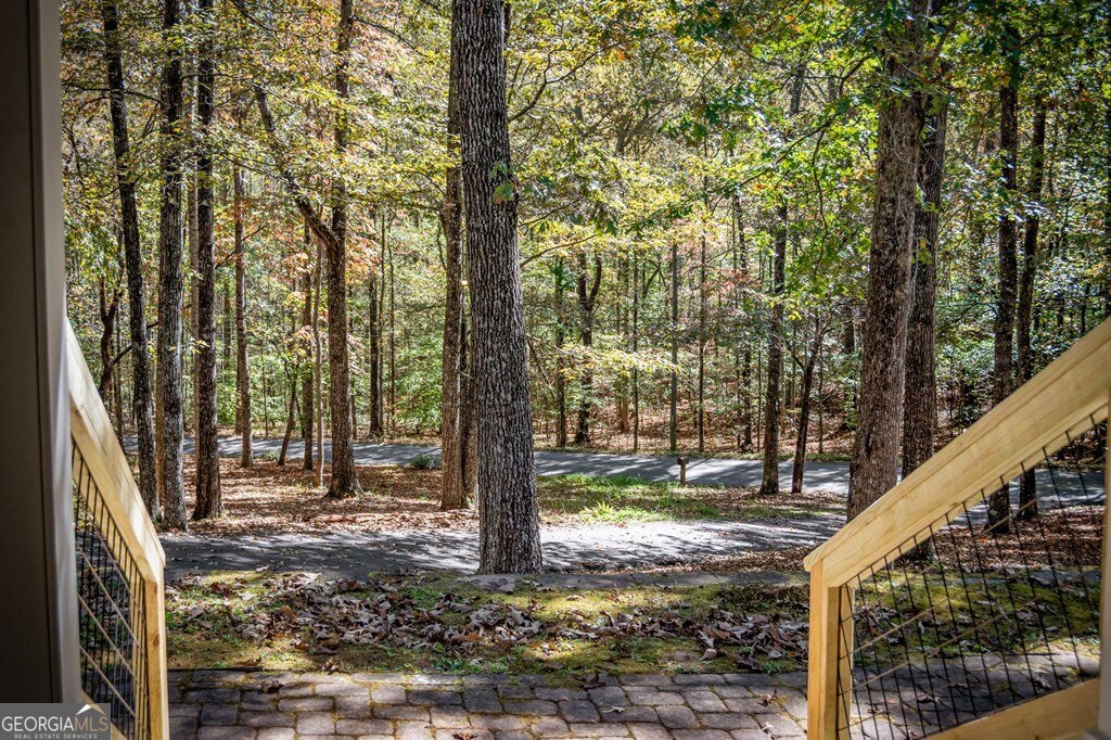 224 Timber Ridge Lane Ellijay, GA 30540 - Photo 11 of 61 a view of a trees in a yard with green space