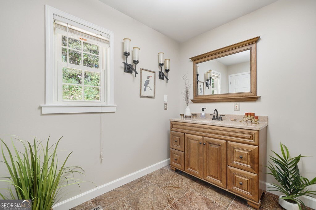 224 Timber Ridge Lane Ellijay, GA 30540 - Photo 37 of 61 a bathroom with a sink a mirror and a potted plant