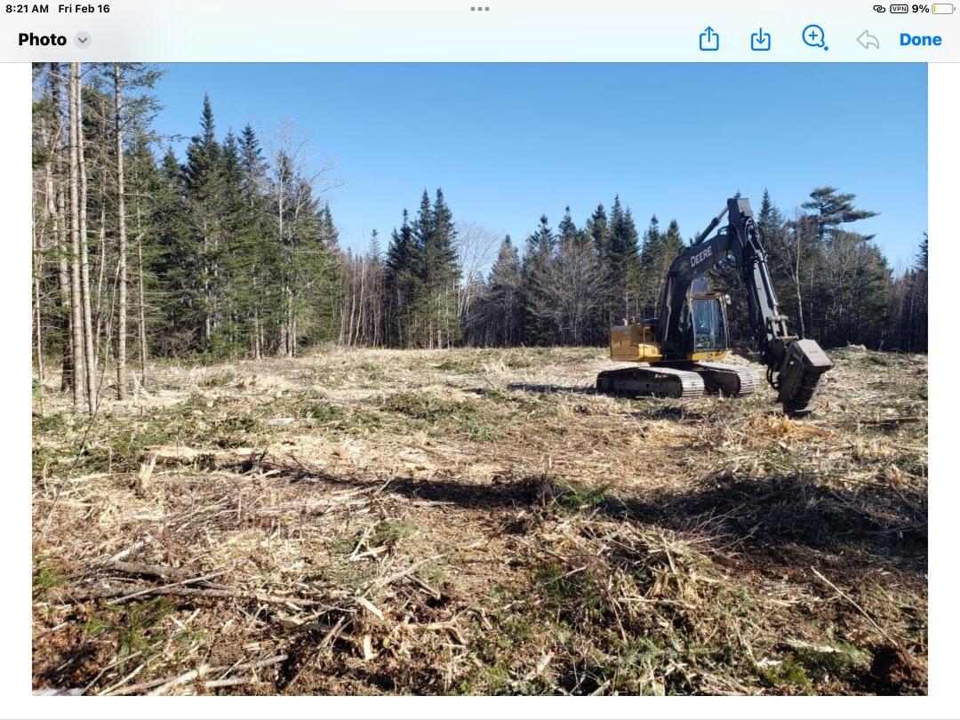 24 Georgetown Woods Road Columbia Falls, ME 04623 - Photo 5 of 6 Georgetown woods Rd, Clearing-pic