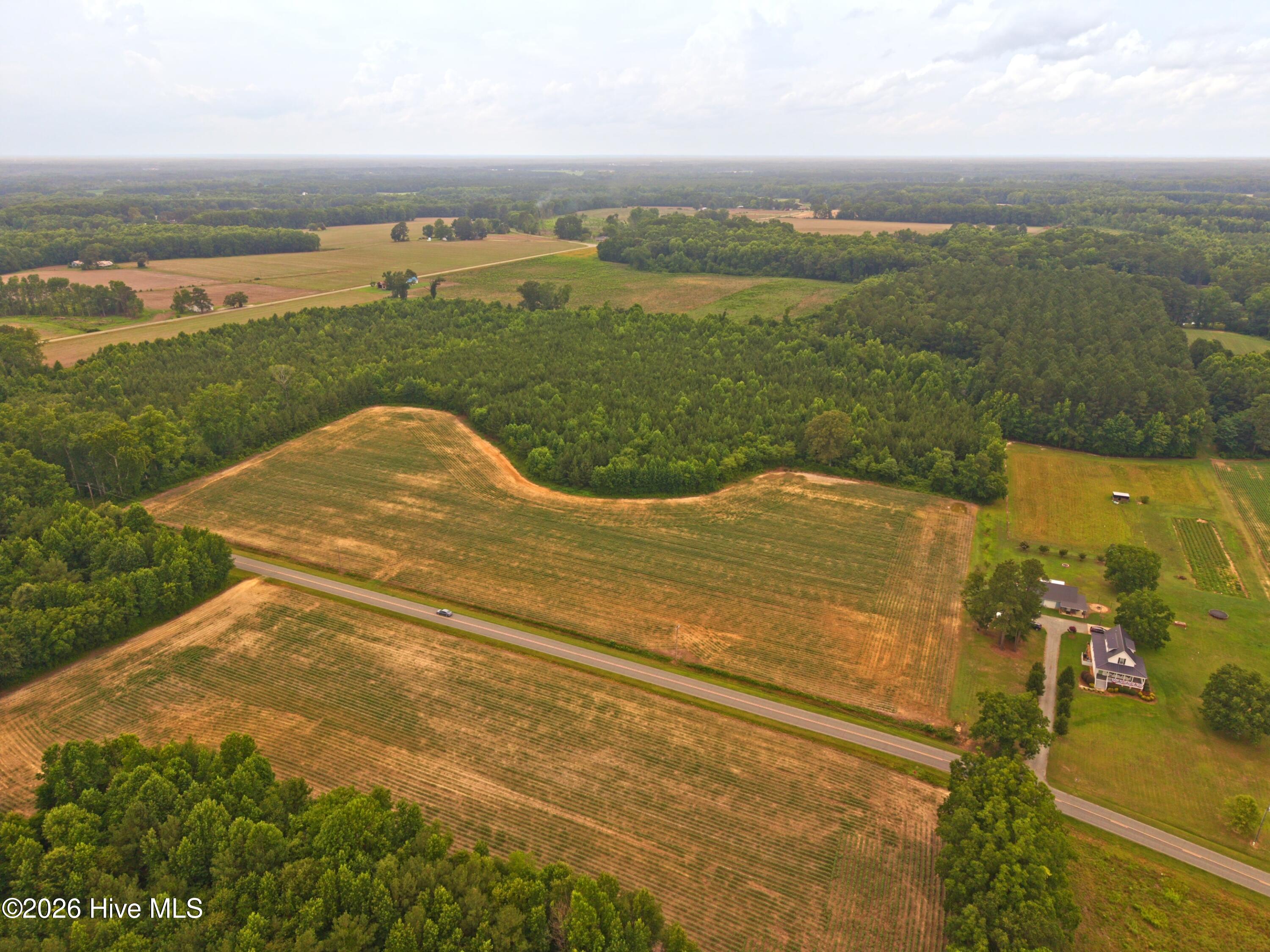 0 Rains Crossroads Road Pikeville, NC 27863 - Photo 2 of 5