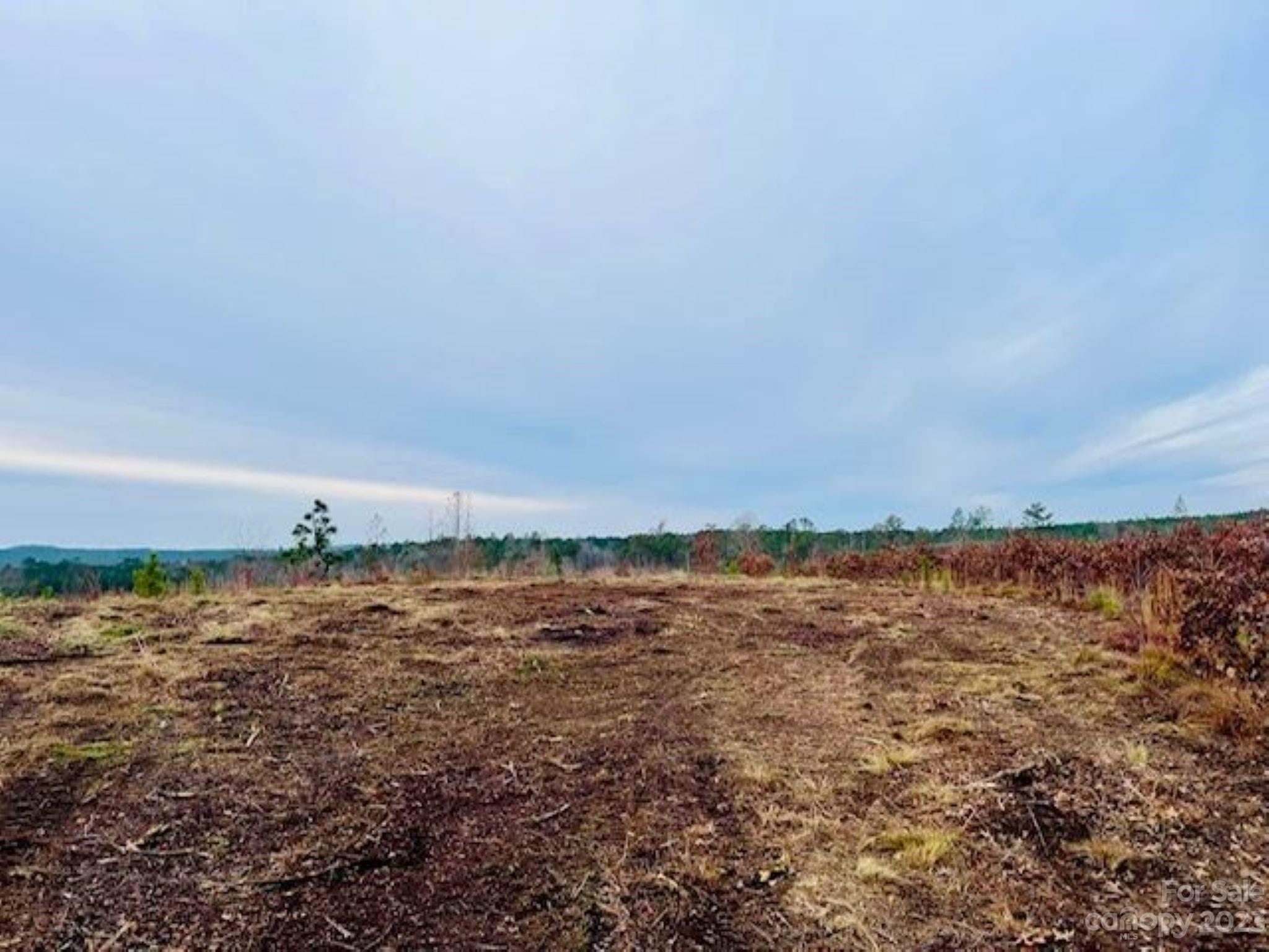 0 Gun-O-Field Road Wallace, SC 29596 - Photo 5 of 12 a view of ocean view with beach