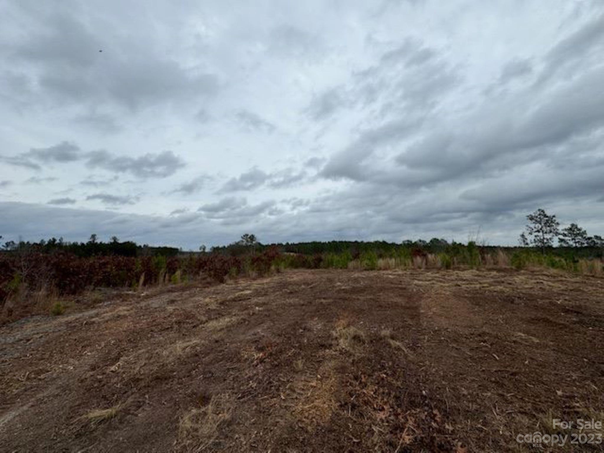 0 Gun-O-Field Road Wallace, SC 29596 - Photo 6 of 12