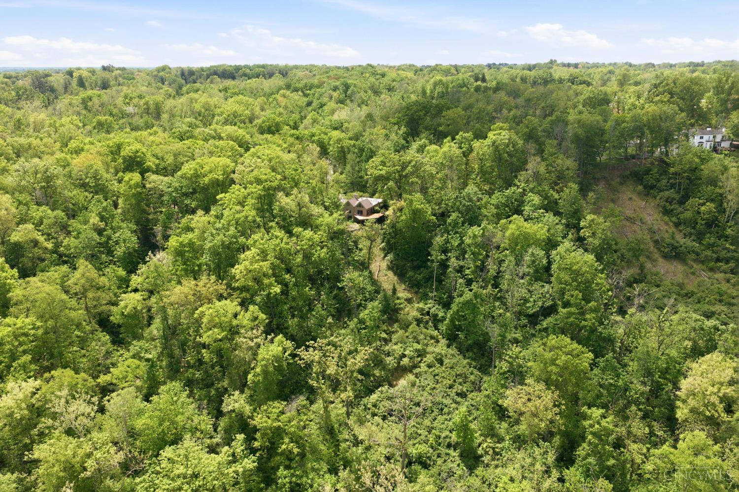 9546 Cunningham Road Cincinnati, OH 45243 - Photo 76 of 95