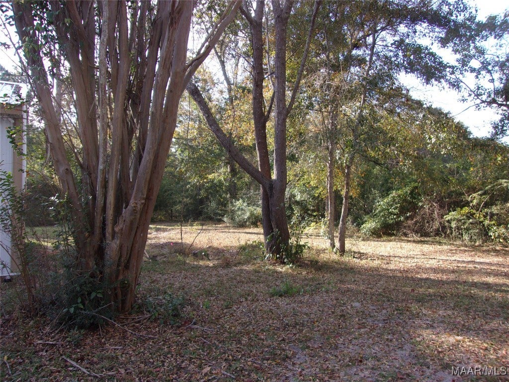 1395 Mt Pleasant Road Kinston, AL 36453 - Photo 17 of 17 Mature trees