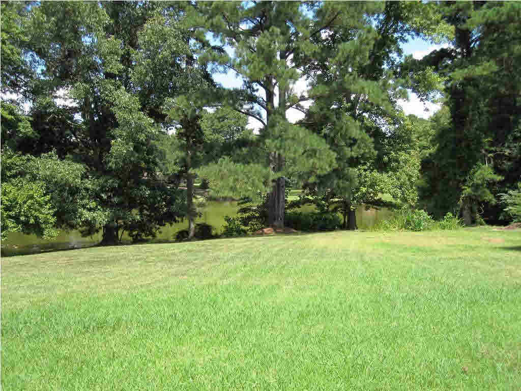 1206 West Parks Road Raymond, MS 39154 - Photo 13 of 16 View of lake from Backyard