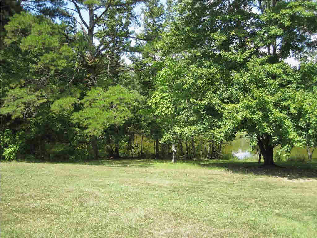 1206 West Parks Road Raymond, MS 39154 - Photo 14 of 16 Another view of backyard