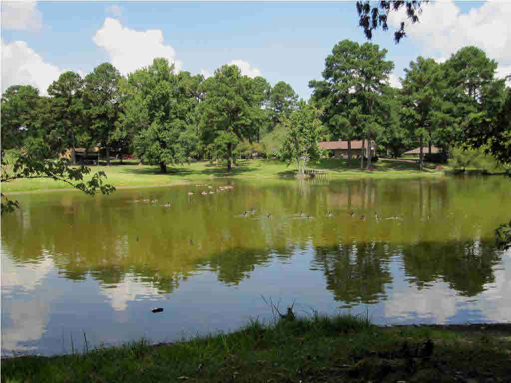 1206 West Parks Road Raymond, MS 39154 - Photo 15 of 16 Geese swimming in lake