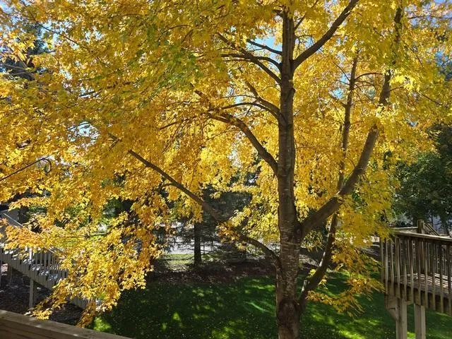 $337,900 | 2062 Mainstreet, Hopkins, MN 55343