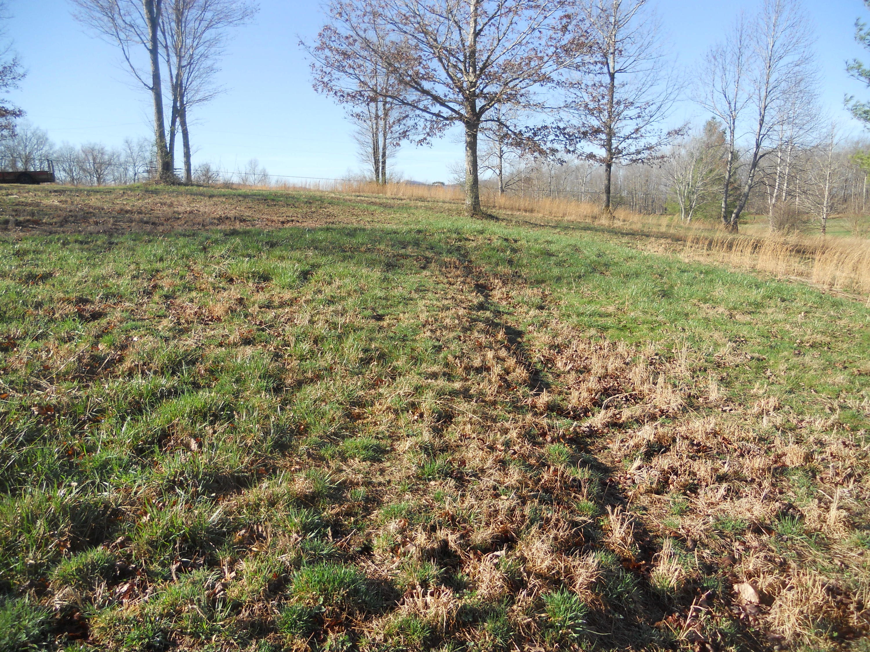 3759 Hurricane Road Huntsville, TN 37756 - Photo 12 of 29 016