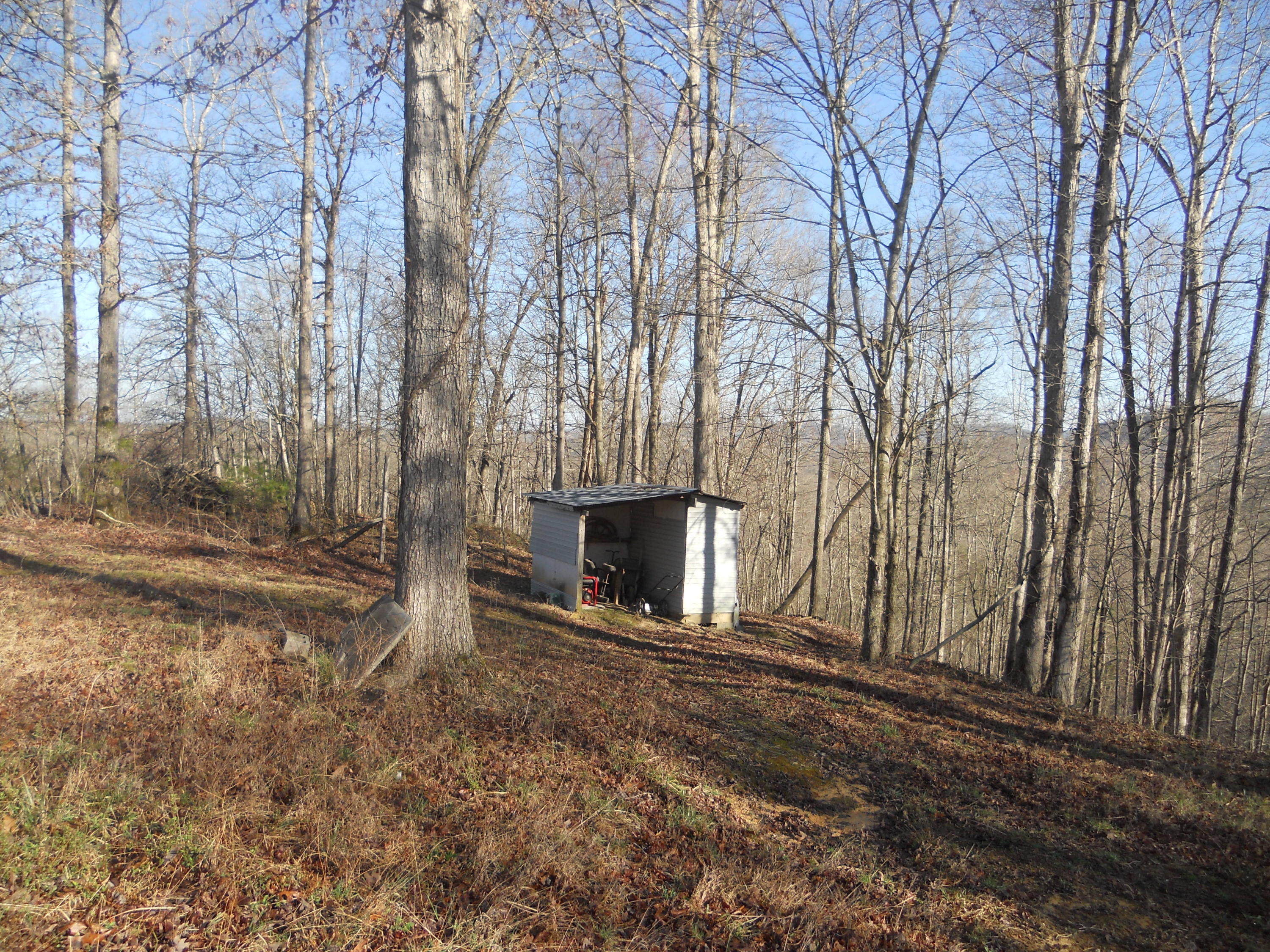 3759 Hurricane Road Huntsville, TN 37756 - Photo 8 of 29 012