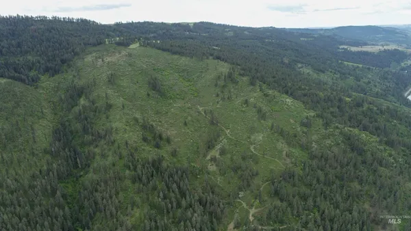 $1,250,000 | 33 Hwy 12 Peck Id 83545, Peck, ID 83545