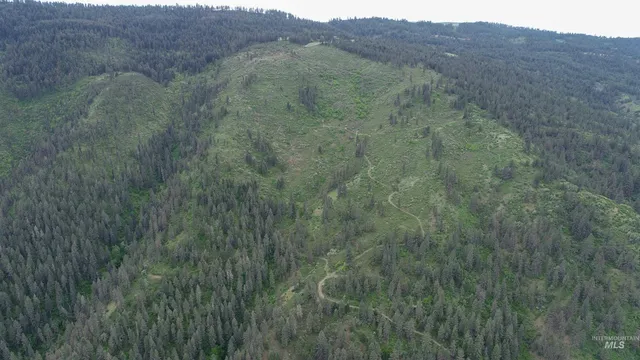 $1,250,000 | 33 Hwy 12 Peck Id 83545, Peck, ID 83545