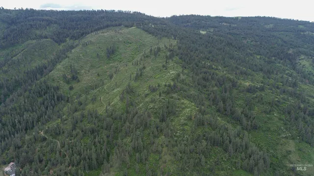 $1,250,000 | 33 Hwy 12 Peck Id 83545, Peck, ID 83545