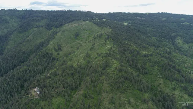 $1,250,000 | 33 Hwy 12 Peck Id 83545, Peck, ID 83545