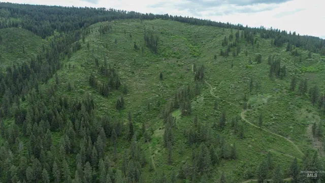 $1,250,000 | 33 Hwy 12 Peck Id 83545, Peck, ID 83545