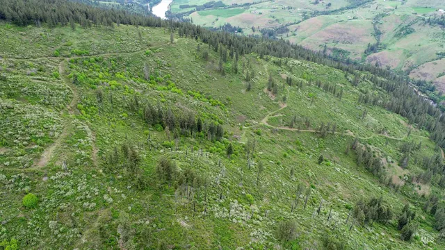 $1,250,000 | 33 Hwy 12 Peck Id 83545, Peck, ID 83545