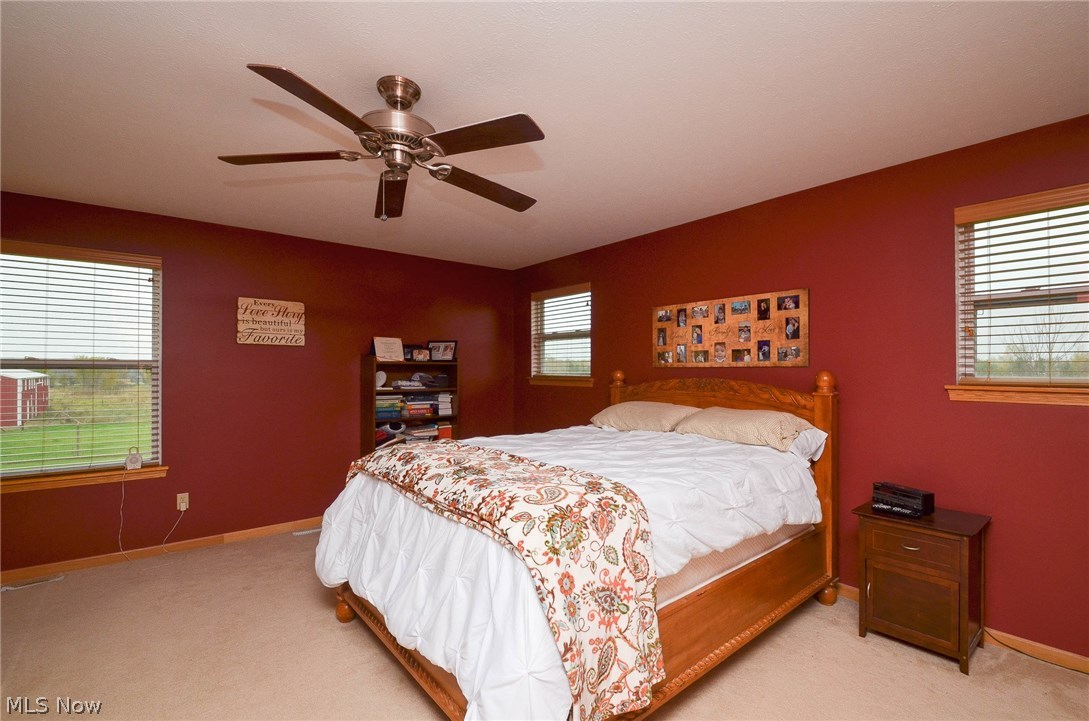 4710 Bryenton Road Litchfield, OH 44253 - Photo 31 of 33 Gallery Image 31