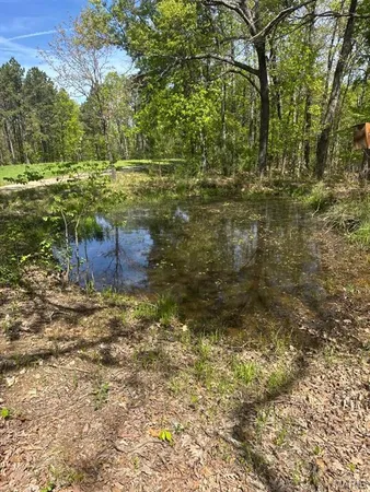 $177,005 | 0 West Highway 8, Potosi, MO 63664