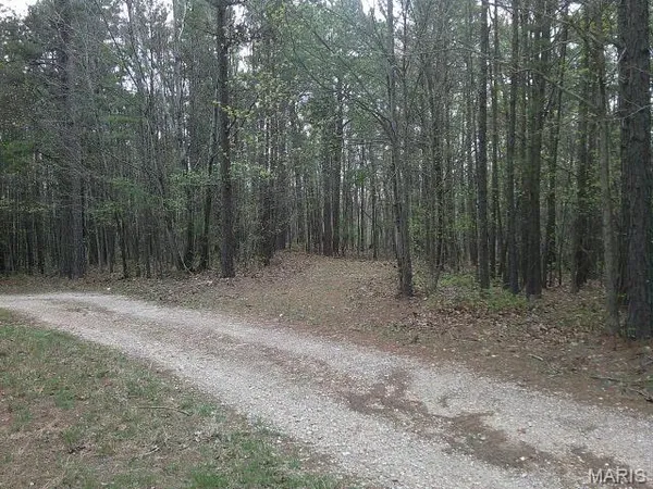 $177,005 | 0 West Highway 8, Potosi, MO 63664
