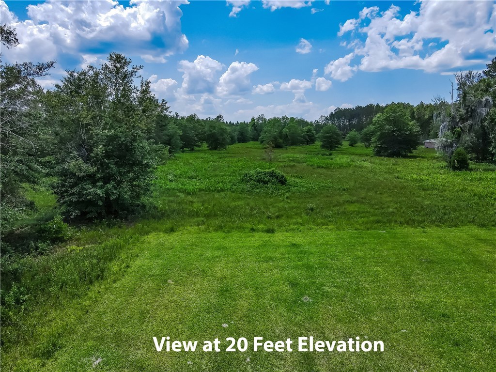 108 County Road Hilliard, FL 32046 - Photo 13 of 16 a view of a bunch of trees