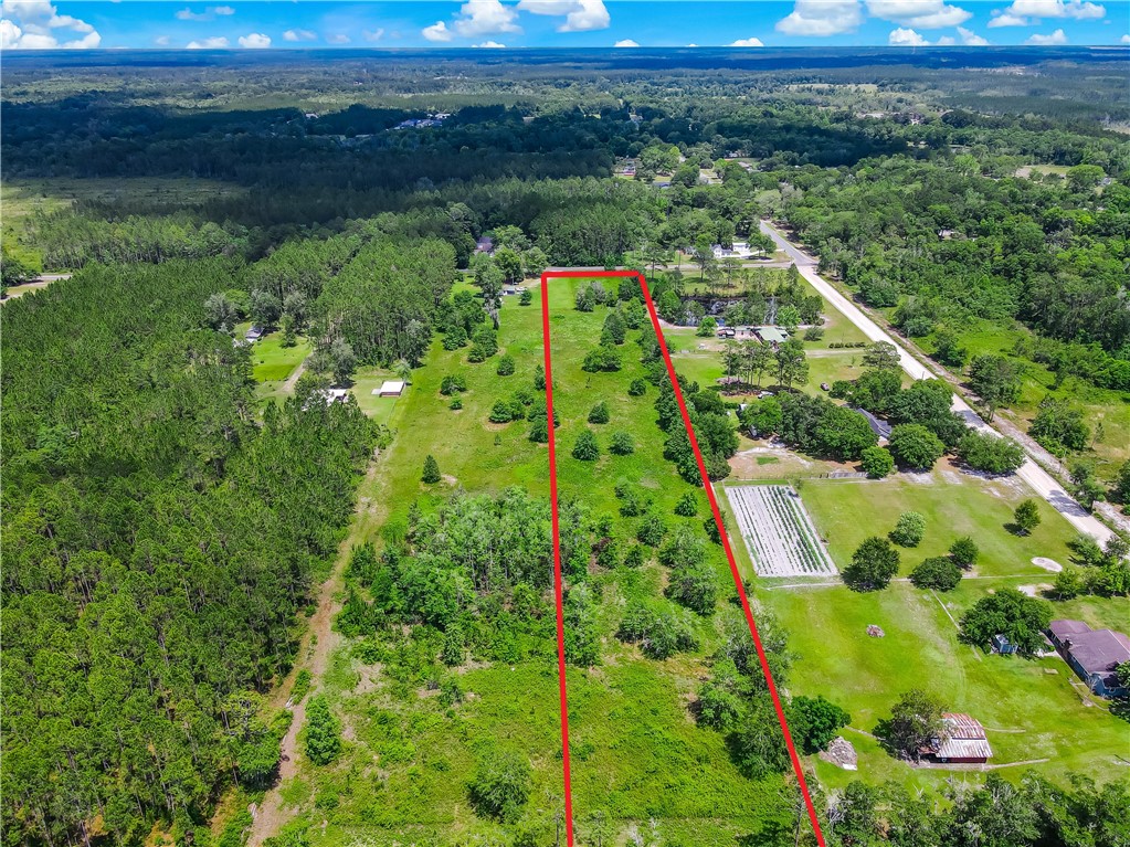 108 County Road Hilliard, FL 32046 - Photo 15 of 16 a view of a yard with potted plants