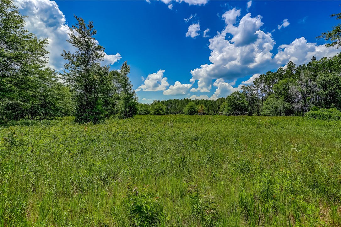 108 County Road Hilliard, FL 32046 - Photo 4 of 16 a view of a big yard with potted plants and large tree