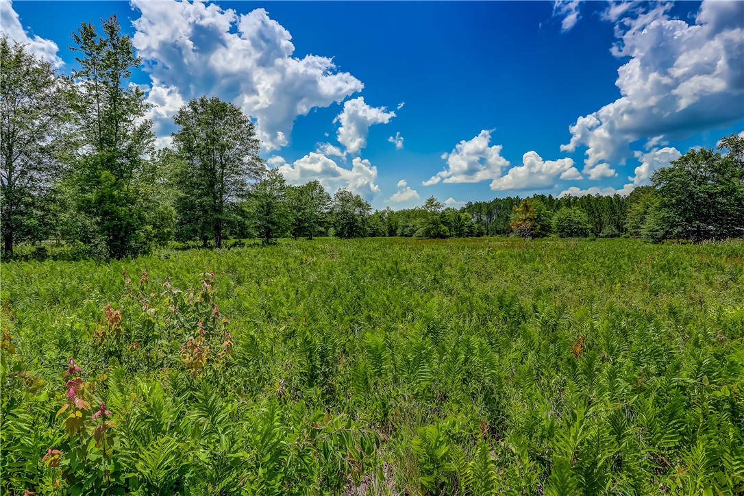 108 County Road Hilliard, FL 32046 - Photo 5 of 16 a view of a big yard with plants and large trees