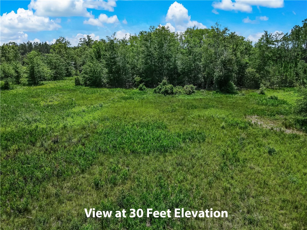 108 County Road Hilliard, FL 32046 - Photo 10 of 16 a view of a green field