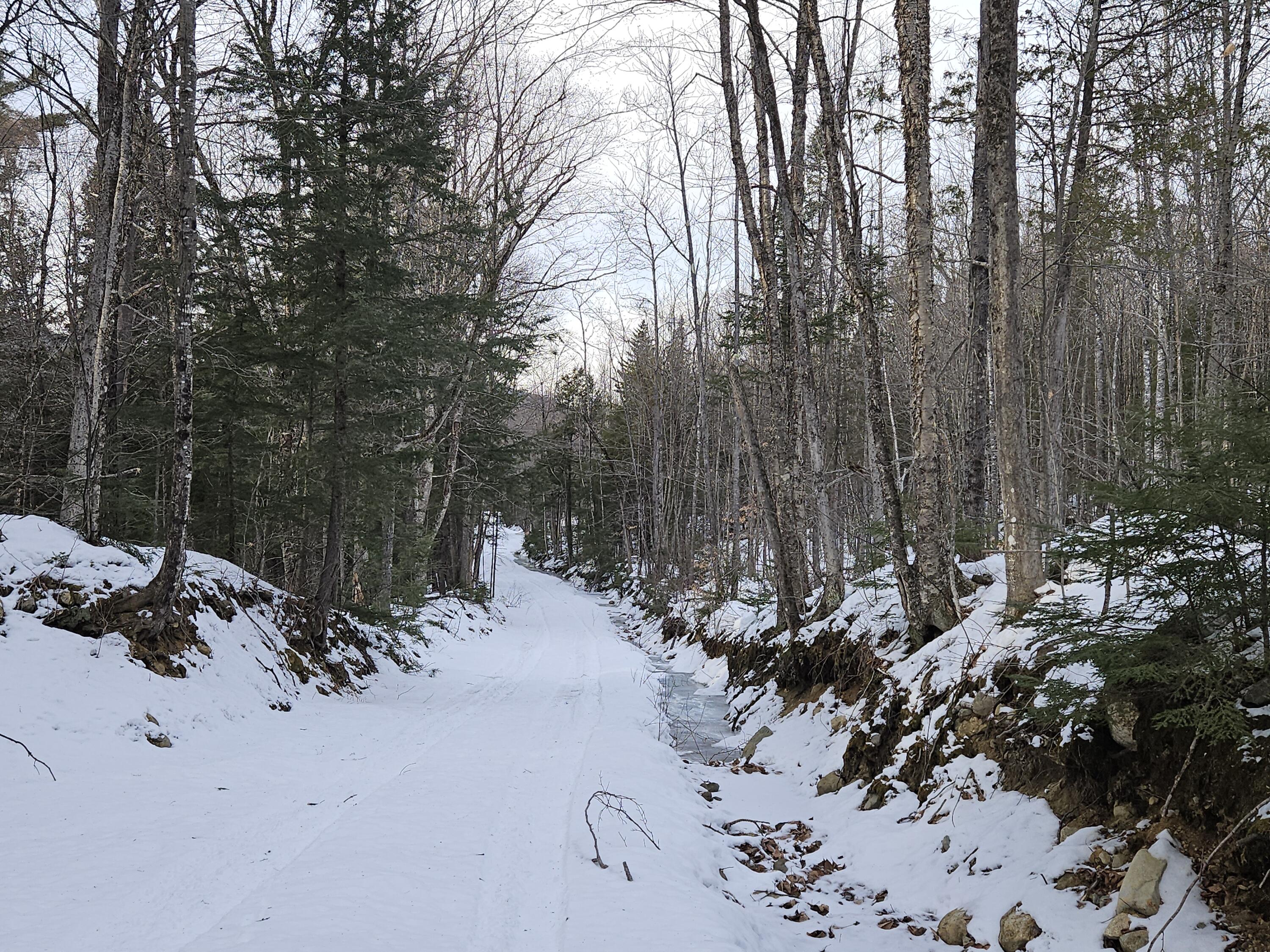 Lot #135 Pratt Road Wilton, ME 04294 - Photo 9 of 22 20250127_150451