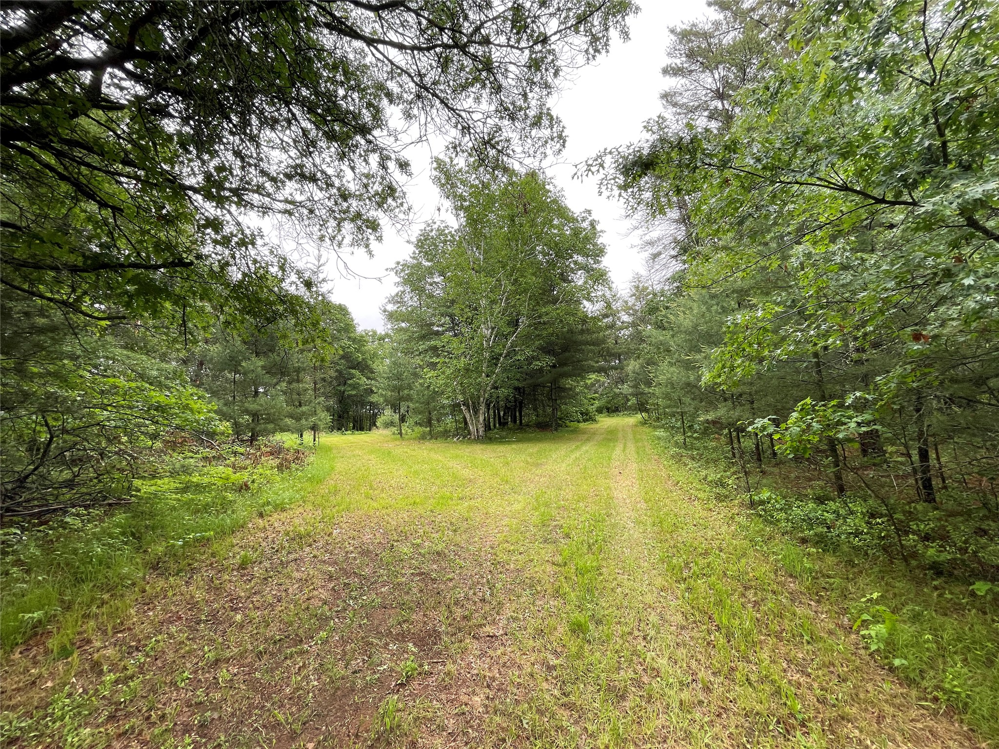 0 Loon Lake Road Spooner, WI 54801 - Photo 14 of 18