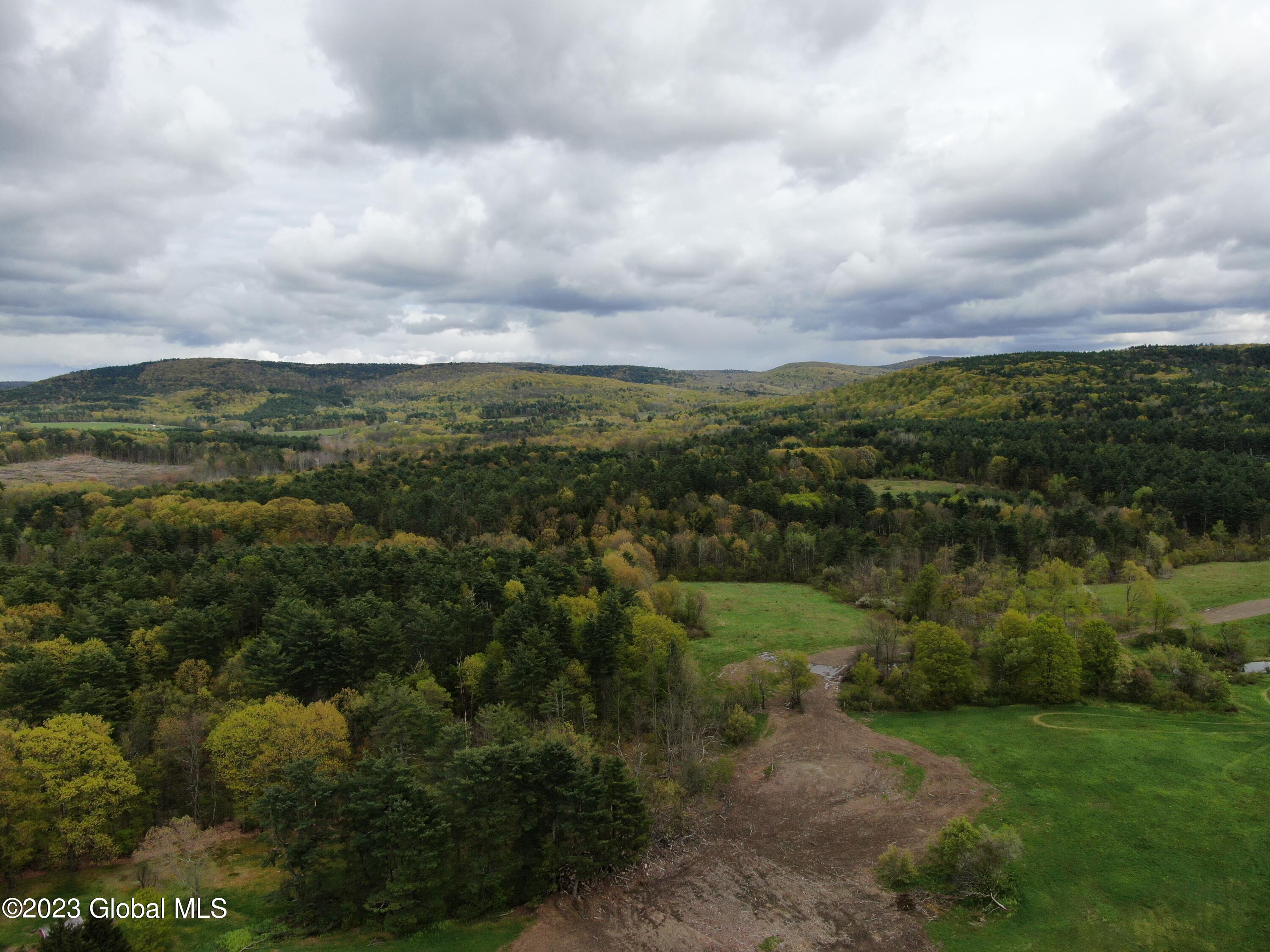 1780 Tamarac Road Pittstown, NY 12094 - Photo 1 of 10 3