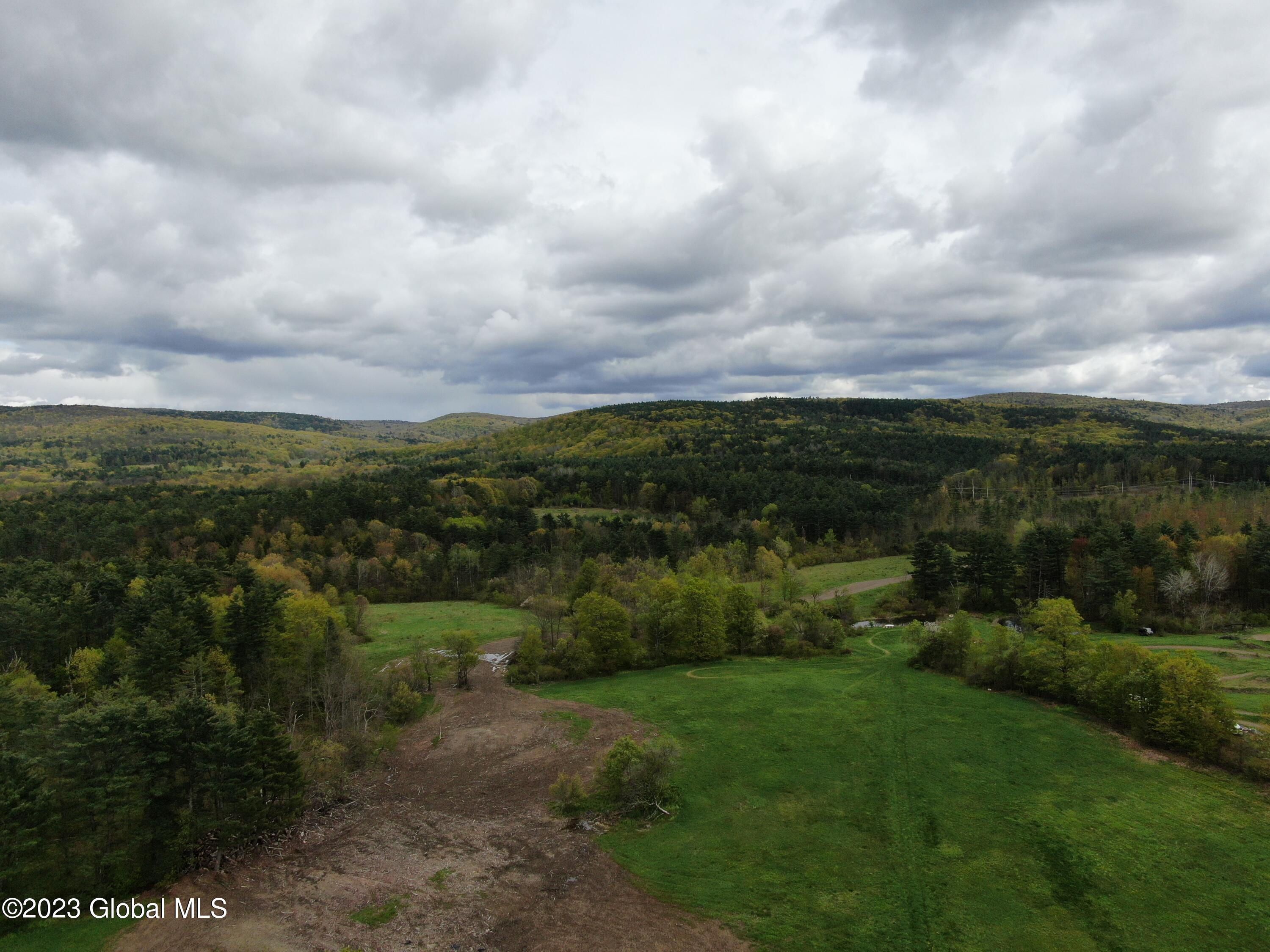 1780 Tamarac Road Pittstown, NY 12094 - Photo 2 of 10 1