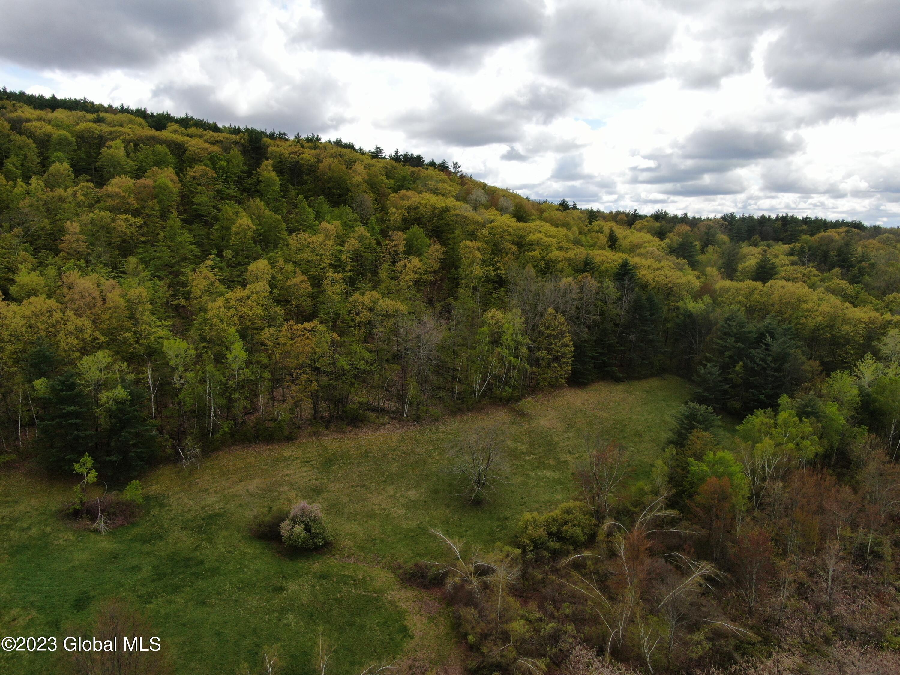 1780 Tamarac Road Pittstown, NY 12094 - Photo 3 of 10 2