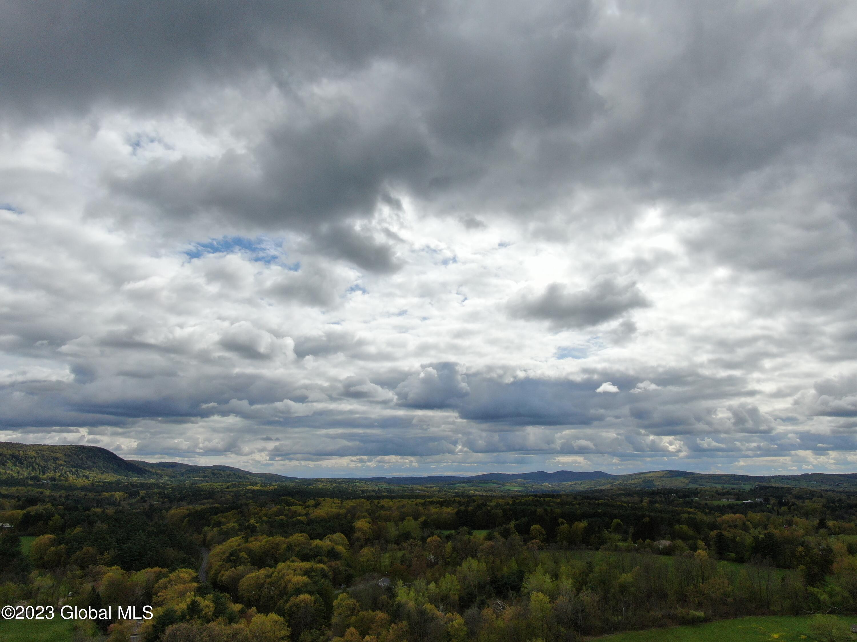 1780 Tamarac Road Pittstown, NY 12094 - Photo 4 of 10 4