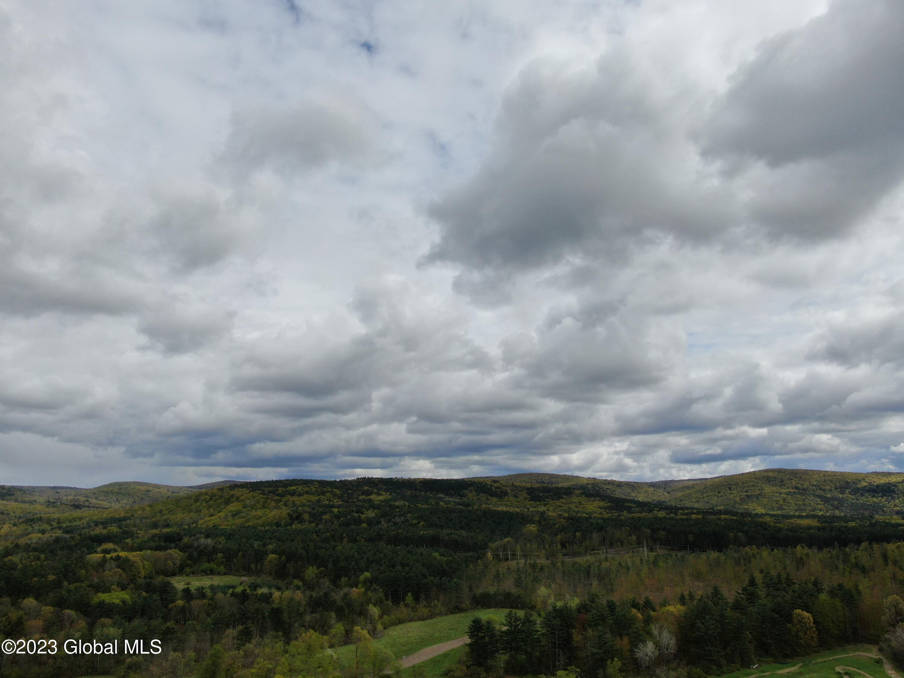 1780 Tamarac Road Pittstown, NY 12094 - Photo 5 of 10 5