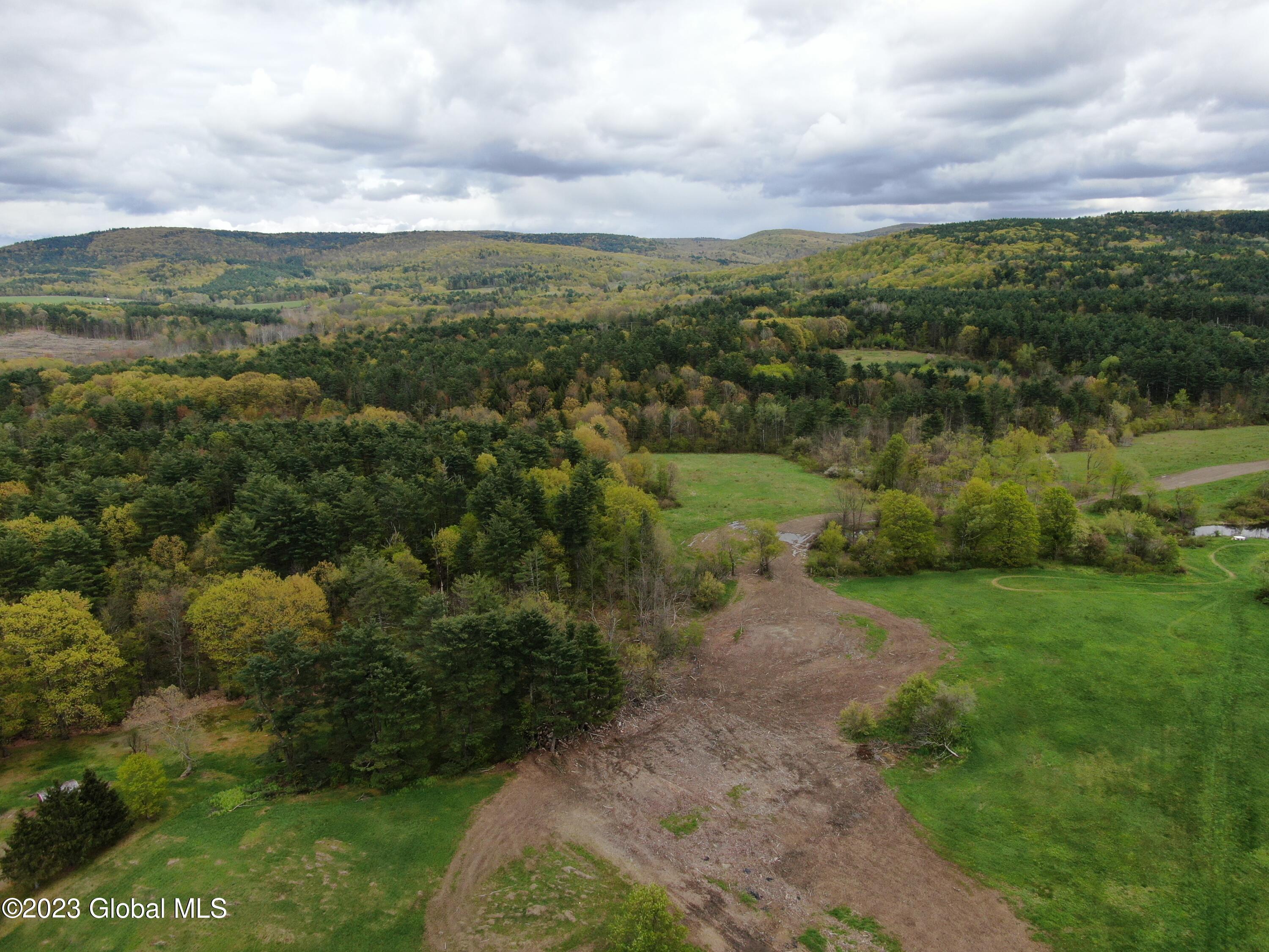 1780 Tamarac Road Pittstown, NY 12094 - Photo 6 of 10 6