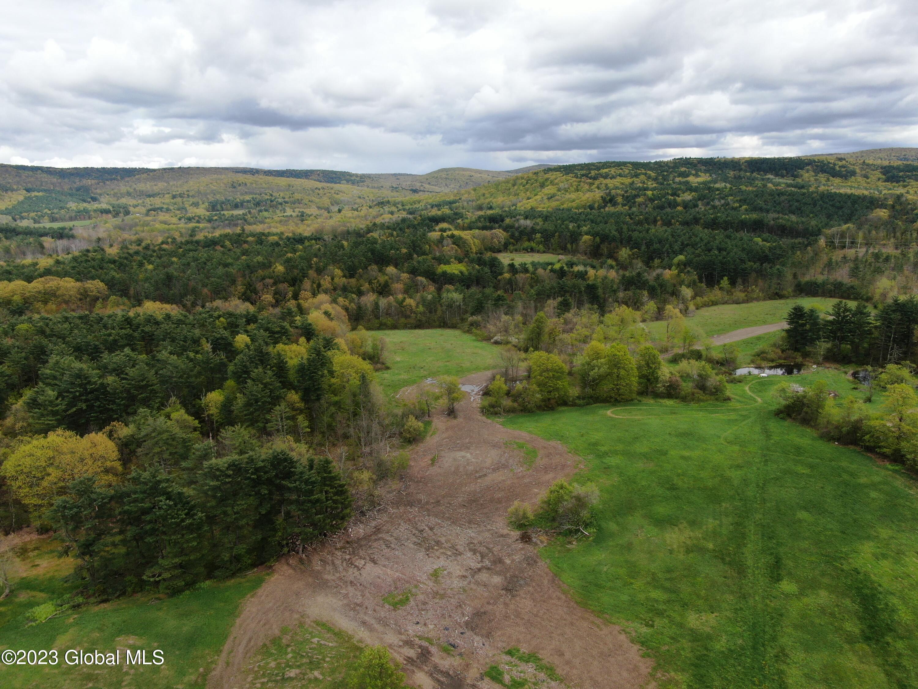 1780 Tamarac Road Pittstown, NY 12094 - Photo 7 of 10 7