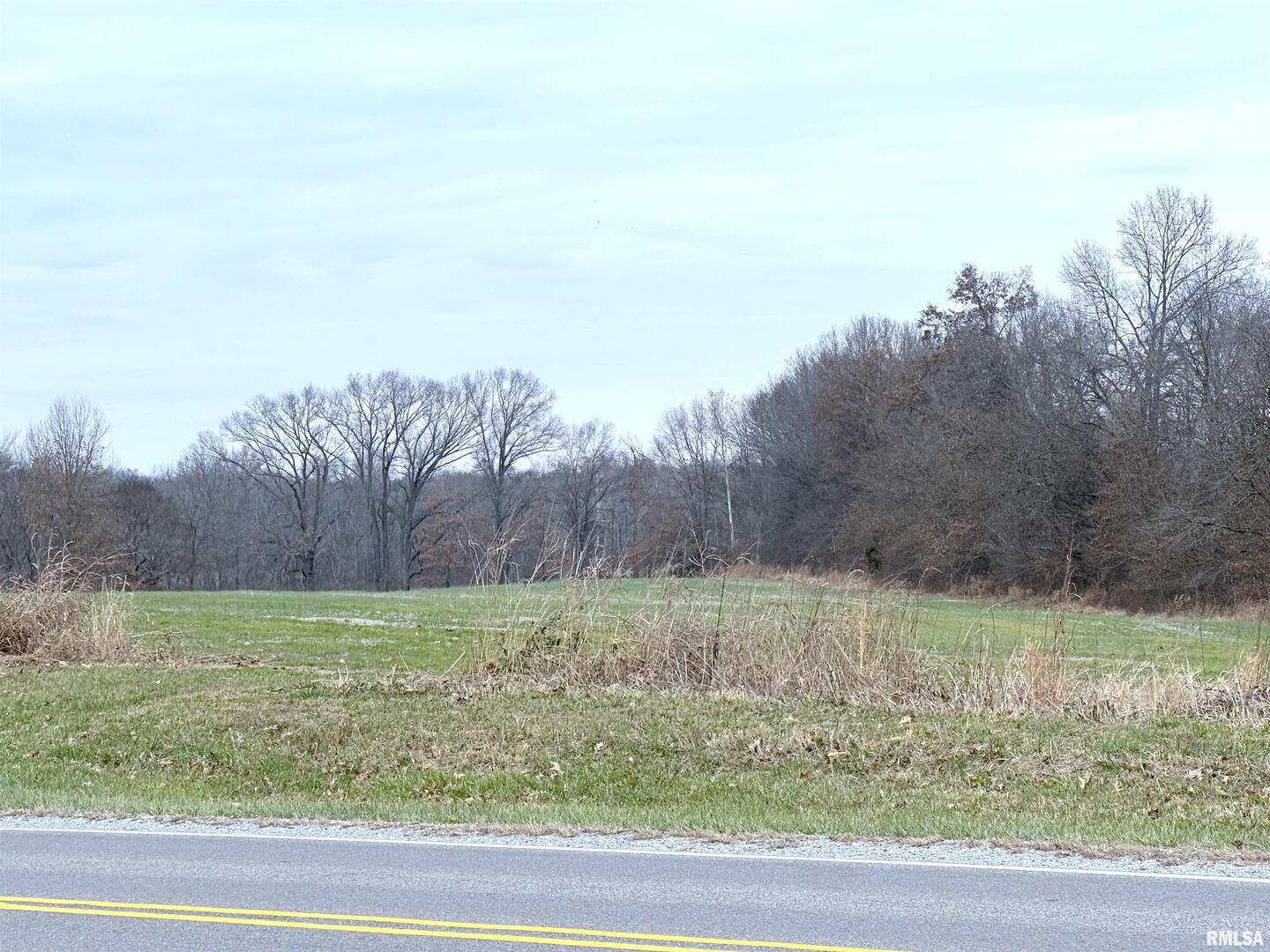 20 Mt Pisgah Road Buncombe, IL 62912 - Photo 6 of 8 a view of a yard with an tree