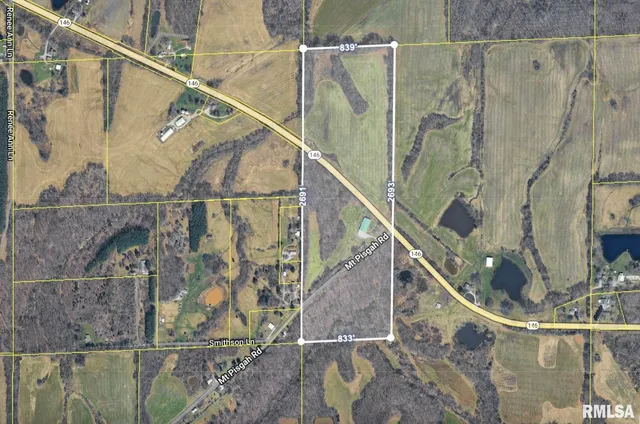$550,000 | 20 Mt Pisgah Road, Buncombe, IL 62912