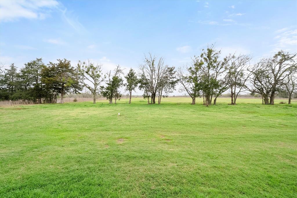 6771 Northwest County Road 1146 Barry, TX 75102 - Photo 32 of 34 a view of a field with tree in front of it