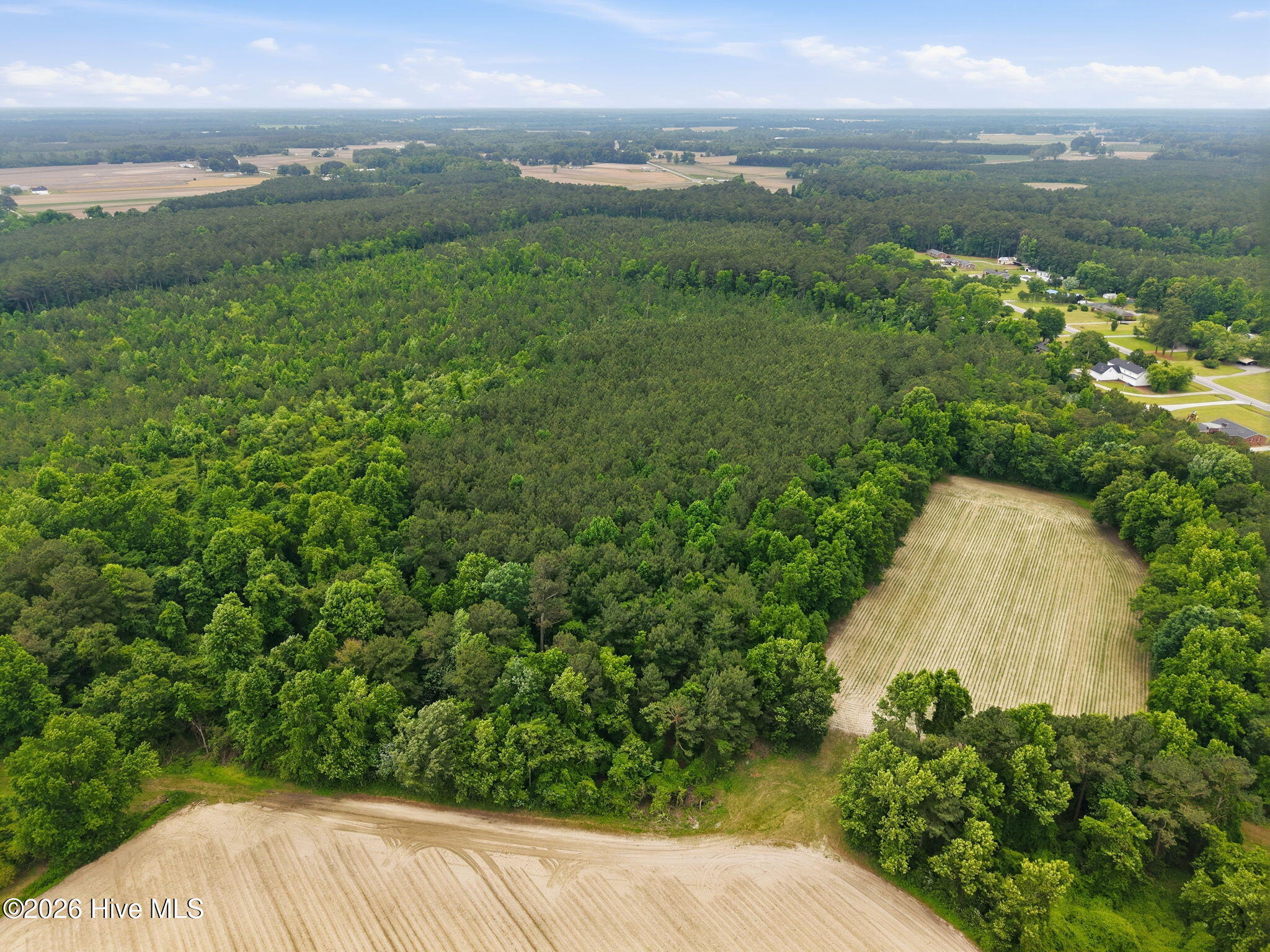 0 Off Gay Road Walstonburg, NC 27888 - Photo 9 of 11 9-web-or-mls-DJI_20260511120818_0028_D
